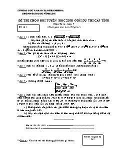 Đề thi chọn đội tuyển học sinh giỏi dự thi cấp tỉnh môn Toán - Lớp 9