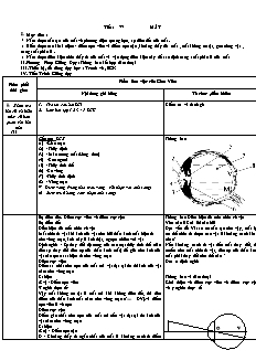 Giáo án Vật lý 11 - Tiết 77 - Mắt