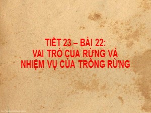 Bài giảng Công nghệ Lớp 7 - Bài 22: Vai trò của rừng và nhiệm vụ của trồng rừng - Năm học 2020-2021