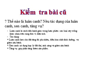 Bài giảng Công nghệ Lớp 7 - Tiết 23: Vai trò của rừng và nhiệm vụ của trồng rừng