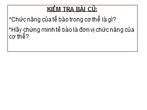 Bài giảng môn Sinh học Lớp 8 - Bài 4: Mô - Năm học 2020-2021