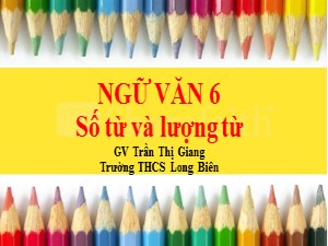 Bài giảng Ngữ văn Lớp 6 - Bài 12: Số từ và lượng từ - Năm học 2020-2021 - Trần Thị Giang