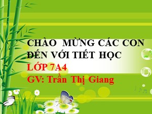 Bài giảng Ngữ văn Lớp 7 - Tiết 82: Câu đặc biệt - Năm học 2020-2021 - Trần Thị Giang