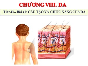 Bài giảng Sinh học Khối 8 - Bài 41: Cấu tạo và chức năng của da - Năm học 2020-2021