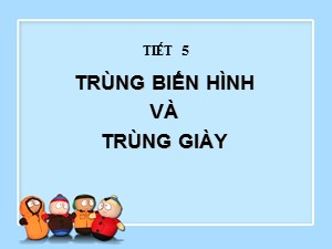 Bài giảng Sinh học Lớp 7 - Bài 5: Trùng biến hình và trùng giày