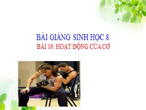 Bài giảng Sinh học Lớp 8 - Bài 10: Hoạt động của cơ - Năm học 2020-2021