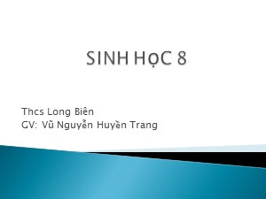 Bài giảng Sinh học Lớp 8 - Bài 38: Bài tiết và cấu tạo hệ bài tiết nước tiểu - Năm học 2020-2021 - Vũ Nguyễn Huyền Trang