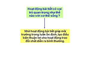 Bài giảng Sinh học Lớp 8 - Bài 40: Vệ sinh hệ bài tiết nước tiểu - Năm học 2020-2021