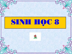 Bài giảng Sinh học Lớp 8 - Bài 6: Phản xạ - Năm học 2017-2018