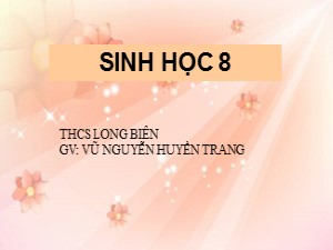 Bài giảng Sinh học Lớp 8 - Tiết 44: Vệ sinh da - Năm học 2020-2021 - Vũ Nguyễn Huyền Trang