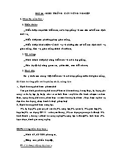 Giáo án Công nghệ Lớp 7 - Bài 16: Gieo trồng cây nông nghiệp - Năm học 2020-2021