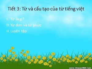 Bài giảng Ngữ văn Lớp 6 - Tiết 3: Từ và cấu tạo của từ tiếng Việt