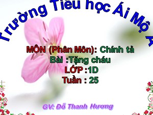 Bài giảng Chính tả Lớp 1- Tuần 25: Tập chép Tặng cháu - Đỗ Thanh Hương