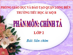 Bài giảng Chính tả Lớp 2 - Tuần 21: Nghe viết Sân chim - Năm học 2020-2021 - Trường Tiểu học Ái Mộ B