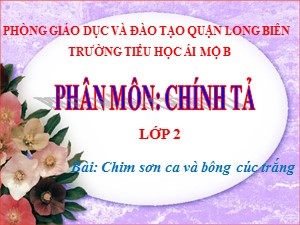 Bài giảng Chính tả Lớp 2 - Tuần 21: Tập chép Chim sơn ca và bông cúc trắng - Năm học 2020-2021 - Trường Tiểu học Ái Mộ B