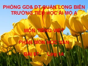 Bài giảng Học vần Lớp 1 - Bài 87: ep-êp - Trường Tiểu học Ái Mộ A