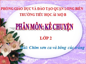 Bài giảng Kể chuyện Lớp 2 - Tuần 21: Chim sơn ca và bông cúc trắng - Năm học 2020-2021 - Trường Tiểu học Ái Mộ B