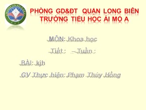 Bài giảng Lịch sử Lớp 4 - Tiết 29: Quang Trung đại phá quân Thanh (Năm 1789) - Phạm Thúy Hồng