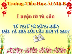 Bài giảng Luyện từ và câu Lớp 2 - Tuần 25: Mở rộng vốn từ Từ ngữ về sông biển. Đặt và trả lời câu hỏi Vì sao? - Năm học 2020-2021 - Trường Tiểu học Ái Mộ B