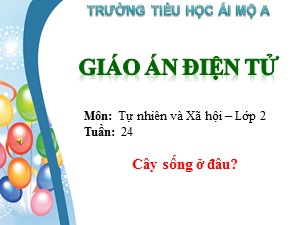 Bài giảng môn Tự nhiên xã hội Lớp 2 - Tuần 24: Cây sống ở đâu? - Trường Tiểu học Ái Mộ A