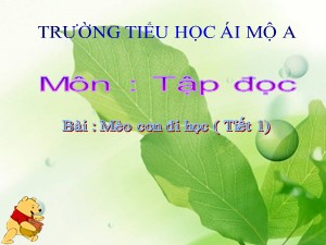 Bài giảng Tập đọc Lớp 1 - Tuần 29: Mèo con đi học ( Tiết 1) - Trường Tiểu học Ái Mộ A