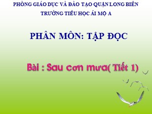 Bài giảng Tập đọc Lớp 1 - Tuần 32: Sau cơn mưa (Tiết 1) - Trường Tiểu học Ái Mộ A