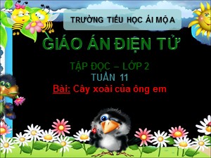 Bài giảng Tập đọc Lớp 2 - Tuần 11: Cây xoài của ông em - Trường Tiểu học Ái Mộ A