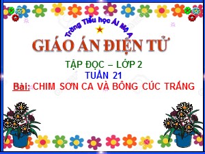 Bài giảng Tập đọc Lớp 2 - Tuần 21: Chim sơn ca và bông cúc trắng - Trường Tiểu học Ái Mộ A