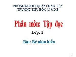 Bài giảng Tập đọc Lớp 2 - Tuần 24: Bé nhìn biển - Năm học 2020-2021 - Trường Tiểu học Ái Mộ B