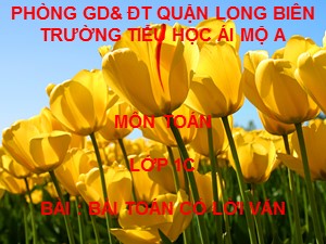 Bài giảng Toán Lớp 1 - Tuần 22: Bài toán có lời văn - Trường Tiểu học Ái Mộ A
