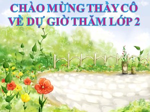 Bài giảng Toán Lớp 2 - Tuần 12: 13 trừ đi một số 13-5 - Trường Tiểu học Ái Mộ B