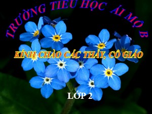 Bài giảng Toán Lớp 2 - Tuần 16: Ngày, tháng - Trường Tiểu học Ái Mộ B