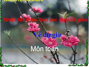 Bài giảng Toán Lớp 2 - Tuần 24: Một phần tư - Trường Tiểu học Ái Mộ B