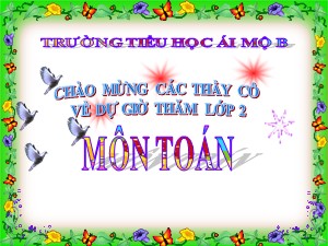 Bài giảng Toán Lớp 2 - Tuần 27: Số 0 trong phép nhân và phép chia - Trường Tiểu học Ái Mộ B