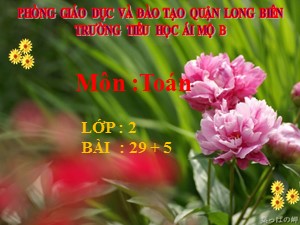Bài giảng Toán Lớp 2 - Tuần 4: 29+5 - Năm học 2020-2021 - Trường Tiểu học Ái Mộ B