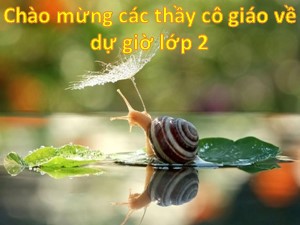 Bài giảng Toán Lớp 2 - Tuần 7: Ki-lô-gam - Trường Tiểu học Ái Mộ B