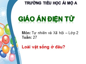 Bài giảng Tự nhiên xã hội Khối 2 - Bài 19: Đường giao thông - Trường Tiểu học Ái Mộ A