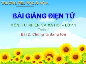 Bài giảng Tự nhiên xã hội Lớp 1 - Bài 2: Chúng ta đang lớn - Năm học 2017-2018 - Trường Tiểu học Ái Mộ A