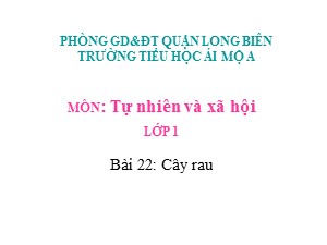 Bài giảng Tự nhiên xã hội Lớp 1 - Bài 22: Cây rau - Trường Tiểu học Ái Mộ A