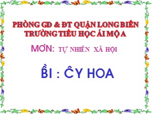 Bài giảng Tự nhiên xã hội Lớp 1 - Bài 23: Cây hoa - Trường Tiểu học Ái Mộ A