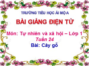 Bài giảng Tự nhiên xã hội Lớp 1 - Bài 24: Cây gỗ - Năm học 2018-2019 - Trường Tiểu học Ái Mộ A