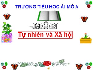 Bài giảng Tự nhiên xã hội Lớp 1 - Bài 25: Con cá - Trường Tiểu học Ái Mộ A