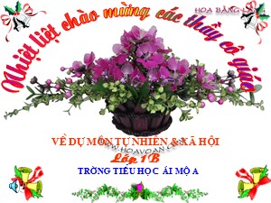 Bài giảng Tự nhiên xã hội Lớp 1 - Bài 26: Con gà - Trường Tiểu học Ái Mộ A