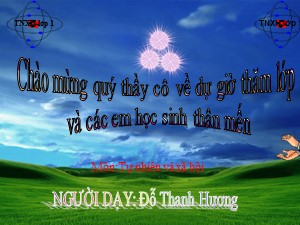 Bài giảng Tự nhiên xã hội Lớp 1 - Bài 28: Con muỗi - Năm học 2018-2019 - Đỗ Thanh Hương