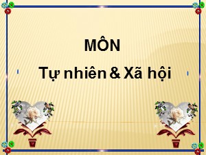 Bài giảng Tự nhiên xã hội Lớp 1 - Bài 30: Trời nắng, trời mưa- Năm học 2020-2021 - Trường Tiểu học Ái Mộ A