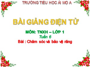 Bài giảng Tự nhiên xã hội Lớp 1 - Bài 6: Chăm sóc và bảo vệ răng - Năm học 2017-2018 - Trường Tiểu học Ái Mộ A