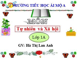 Bài giảng Tự nhiên xã hội Lớp 1 - Bài 8: Ăn uống hàng ngày - Hà Thị Lan Anh