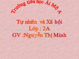 Bài giảng Tự nhiên xã hội Lớp 2 - Bài 1: Cơ quan vận động - Nguyễn Thị Minh