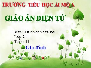 Bài giảng Tự nhiên xã hội Lớp 2 - Bài 11: Gia đình - Hoàng Thị Quyên