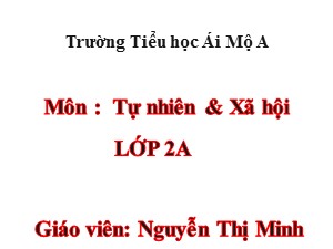 Bài giảng Tự nhiên xã hội Lớp 2 - Bài 11: Gia đình - Nguyễn Thị Minh